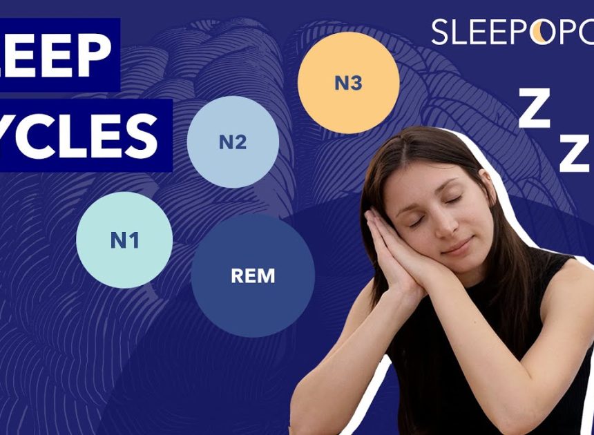 Understanding the Science of Sleep Cycles