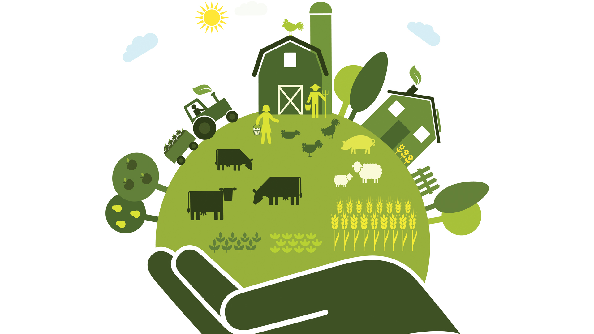 Sustainable Food Systems: Farm to Fork